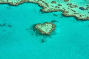 Korallrev format som ett hjärta